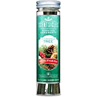 Premier Scentsicles AC1872 - Varillas aromáticas (6 unidades)